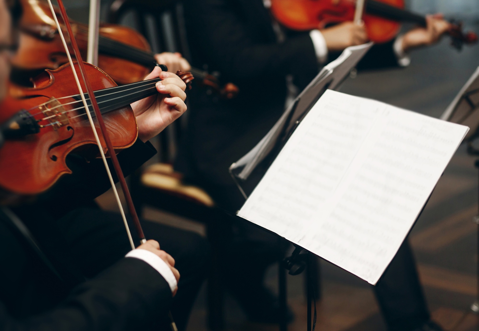 Elegant string quartet performing at wedding reception in restaurant
