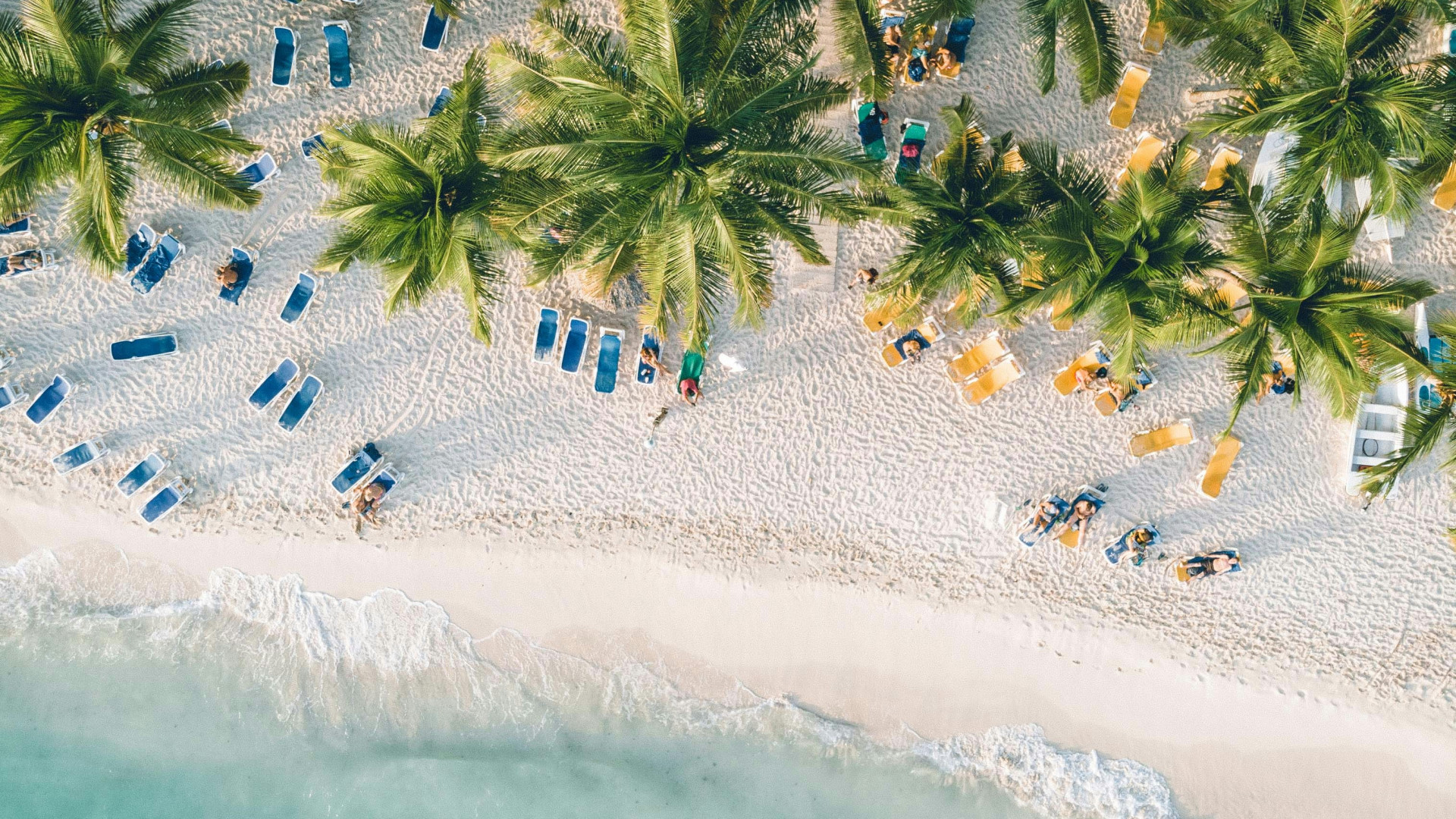 Comment repérer une offre de voyage en République Dominicaine réellement qualitative pour une lune de miel ?